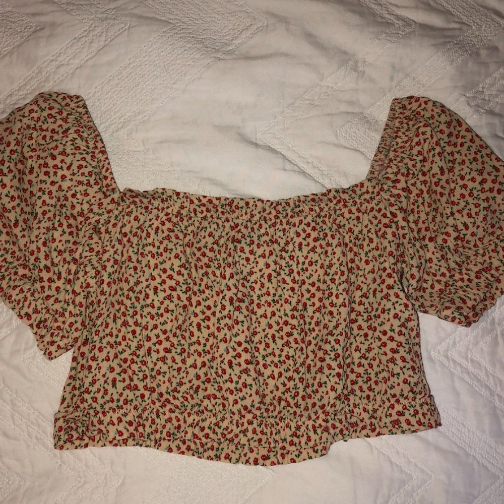Brandy Melville Crop Top